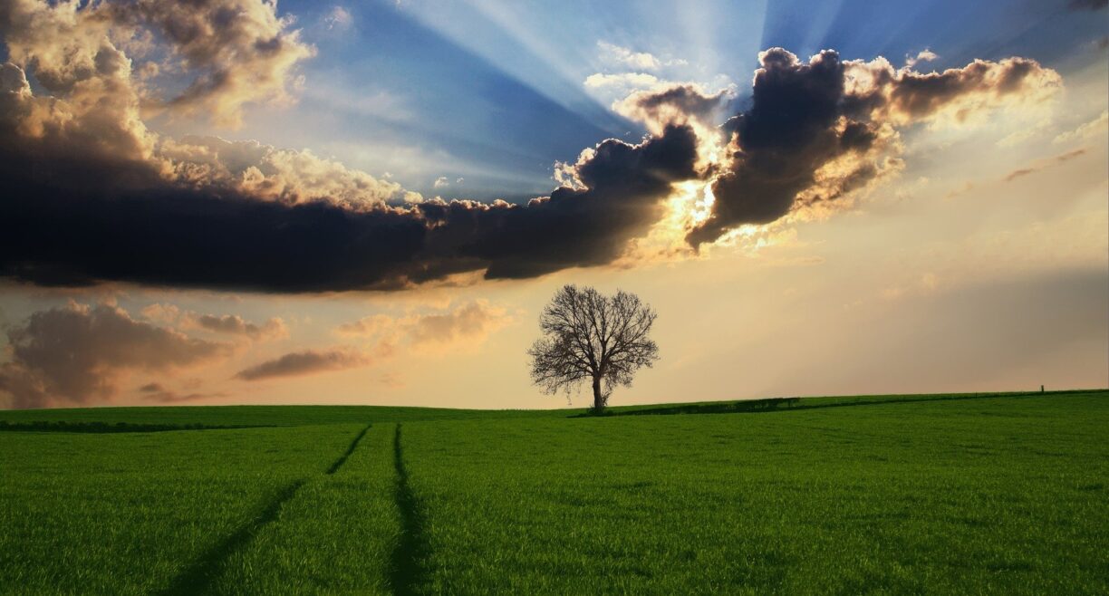 Country